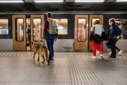 Vers des transports publics pour toutes et tous à Bruxelles : une évaluation de scénarios de design inclusif - article #3