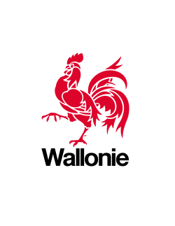 Un plan wallon « Accessibilité » pour les personnes à mobilité réduite